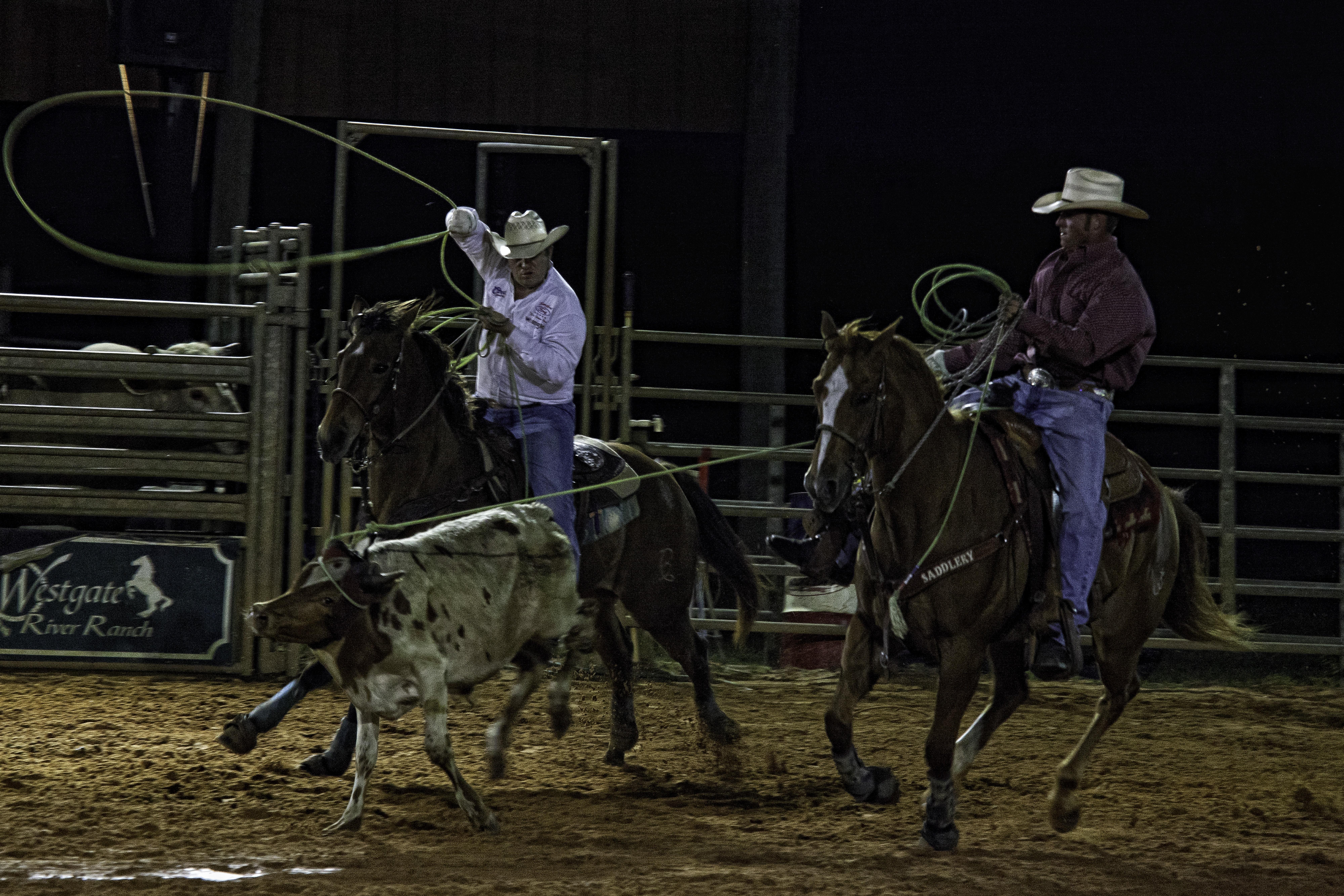 Westgate River Ranch Resort & Rodeo Luaran gambar